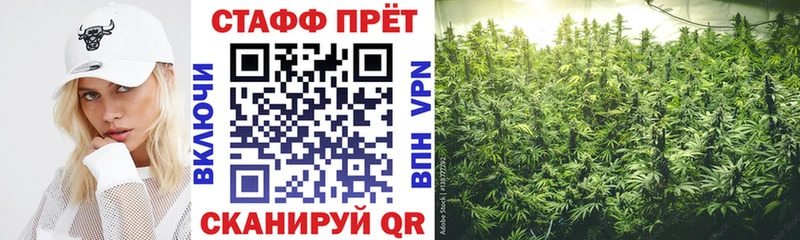 Купить Семёнов СК  COCAIN  Гашиш  Конопля 