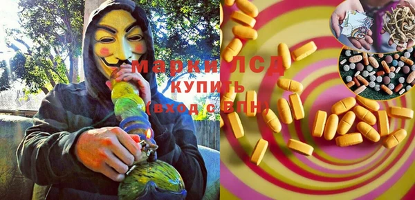 стаф Бородино