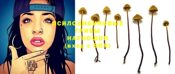 стаф Бородино