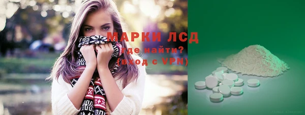 стаф Бородино