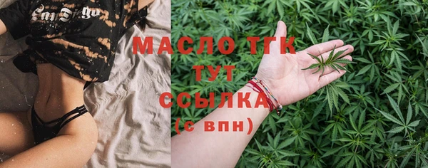 стаф Бородино