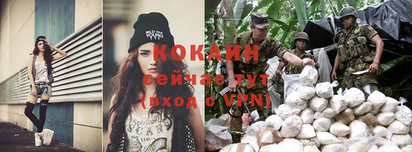 стаф Бородино