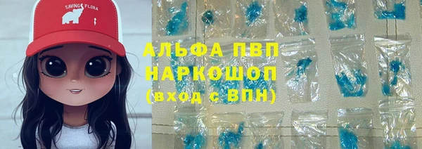 стаф Бородино