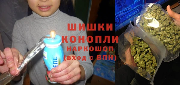 стаф Бородино