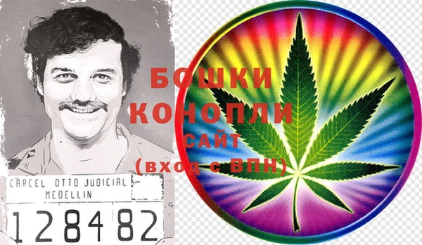 стаф Бородино