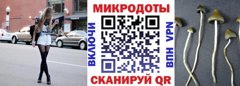 Галлюциногенные грибы мухоморы закладка Семёнов